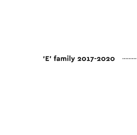 'E' family 2017-2020